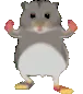 hamsterDance3