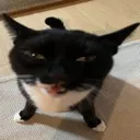 emoji_18 emoji_18