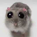 Hamster