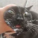 GRAB