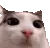plink