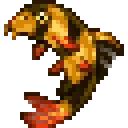 clownLoach