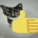 catgood