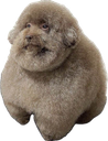 wofJR Discord emoji