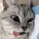 98 98