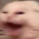 cat_tremble
