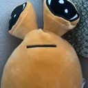 mrpoo