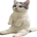 tAc