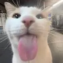 sillymilly