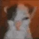 SCHIZOCAT