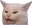 CatWhat CatWhat
