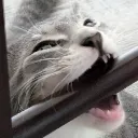 crunch