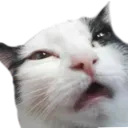 brainrotgggothgirlhaven