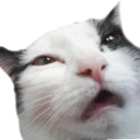 :brainrotgggothgirlhaven: