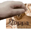 floppasquish