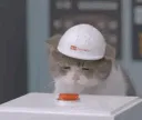 iSOS_nuke