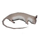 :emoji_47: