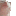 :cat_jam: