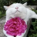 emoji_26 emoji_26
