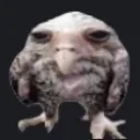 BL_aleatorio_pode_nao_man