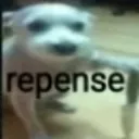 BL_aleatorio_repense