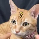 huh