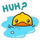 duckyHUH duckyHUH