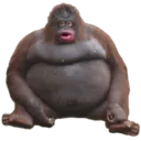 stinky