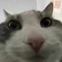 wiresasd wiresasd
