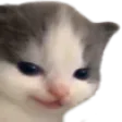 aerijHehe
