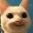 catsmile