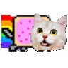Discord Emote nyanCat:
