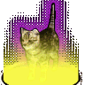 Discord Emote cat: