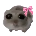 c_sadhamster