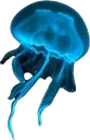 bluejellyfish