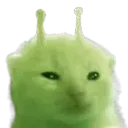 glorp