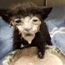 milkface