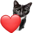 LOVEcat