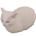 Uncooked_Nugget Uncooked_Nugget