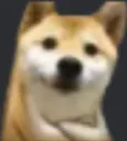kyakaha