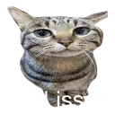 Skillissue