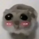 lindo