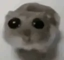 innocent