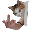 fuck