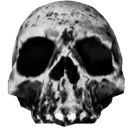 skull01mdl