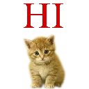 hi