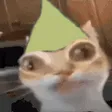 annytfErmki annytfErmki