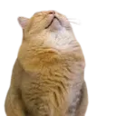 eepy