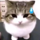 ohno