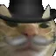 cat_huhpremium